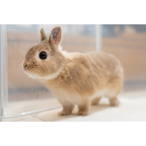 IMG_2370.JPG