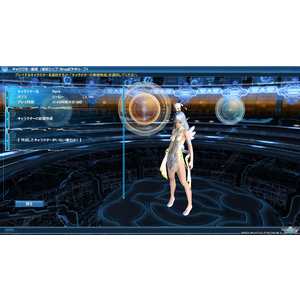 【PC,PS4】PSO2 Hr 英雄職業心得